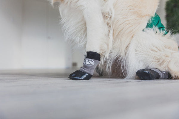 anti slip boots for dogs