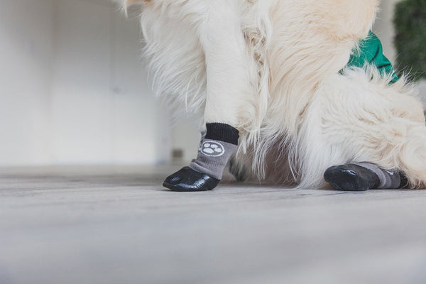 dog socks with velcro