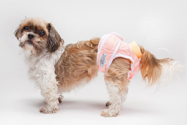 female dog diapers