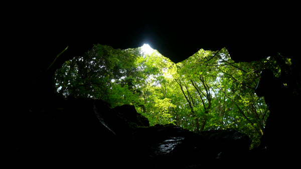 suicide forest caves