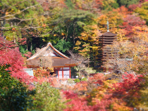 Tanzan Shrine Asuka Japan