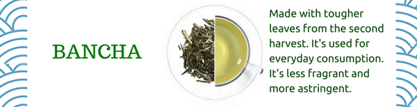 bancha types of japanese green tea
