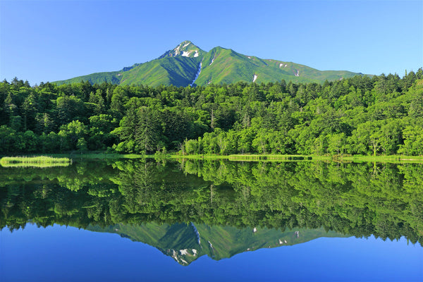 Rishiri Rebun Sarobetsu Park in Japan