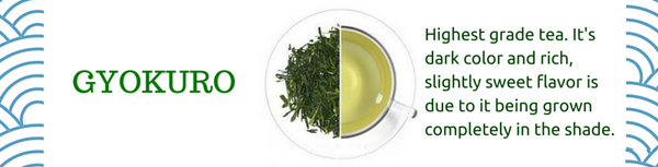 gyokuro japanese green tea