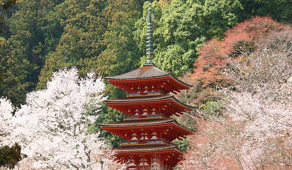 Hasedera Asuka Japan