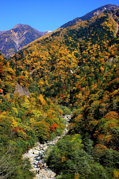 Hayakawa Japan