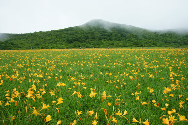 most beautiful places in japan snakku