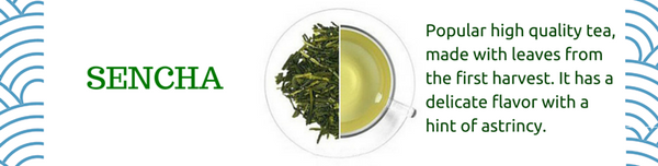 sencha japanese green tea