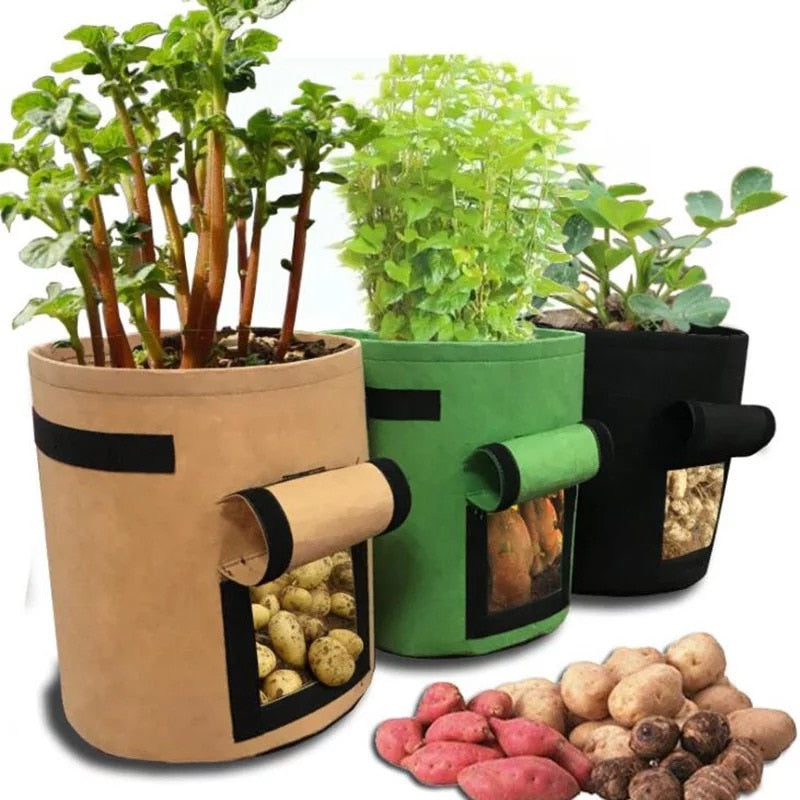 Potato Grow Bag Breathable Water Absorption Planting Bag Window Bucket Pot 