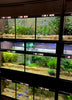 THRIVE Freshwater Fish Enclosures