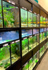 THRIVE Freshwater Fish Enclosure