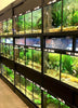 THRIVE Freshwater Fish Enclosure