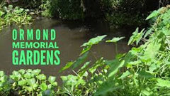 Ormond Memorial Museum Art Museum Logo