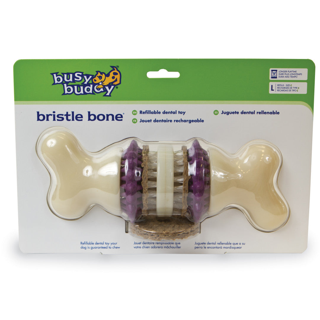 busy buddy bristle bone