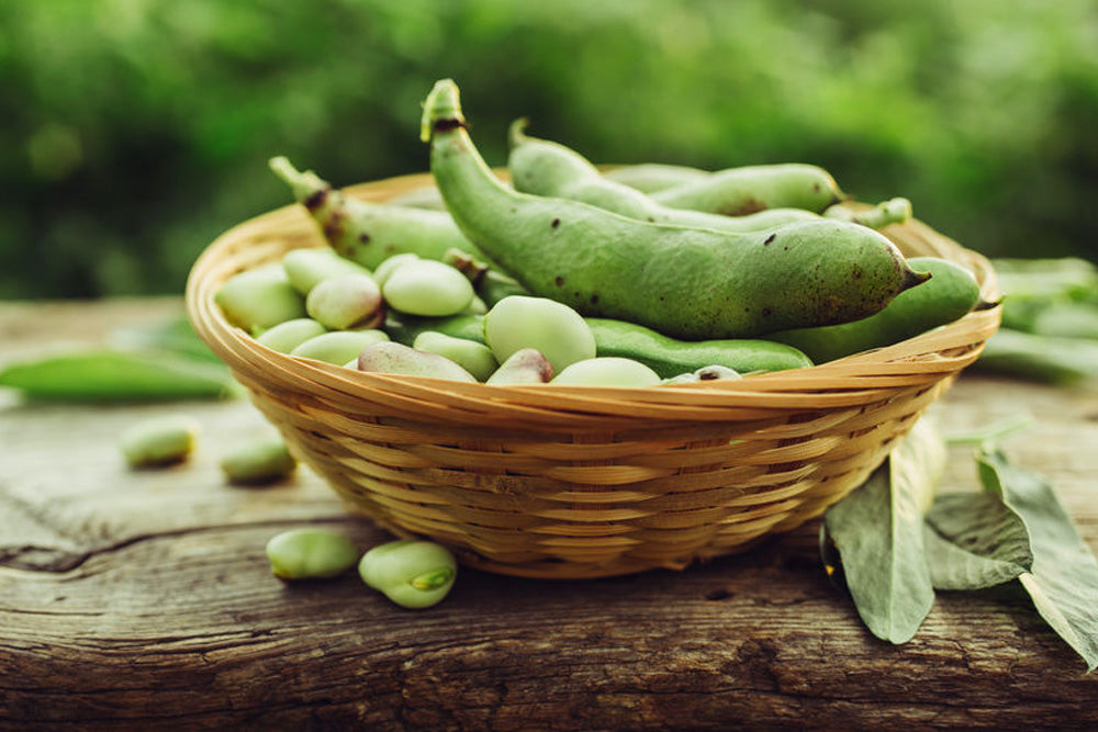 Fava BEan & Asparagus Salad