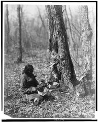 Indian woman tapping maple tree for maple sap