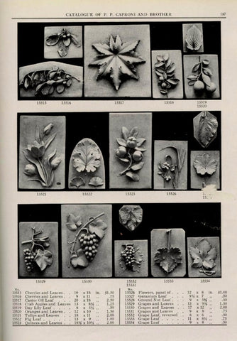 scanned page of P.P. Caproni and Brother catalog showing black and white photos of various plaster casts of leaves, flowers, and fruit