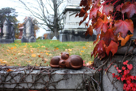 Photo of plaster cast sculpture of two cats sleeping on a cemetery wall with autumn leaves and gravestones in the background