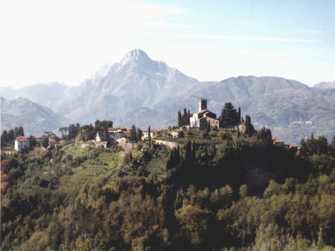 photo of town of Barga, Italy with alps in background
