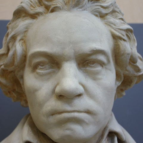 closeup photo of face of restored plaster cast sculpture bust of Hagen's Beethoven
