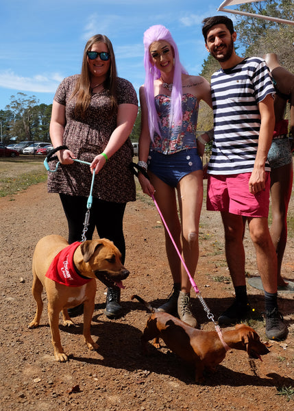 Chillout festival dog lovers