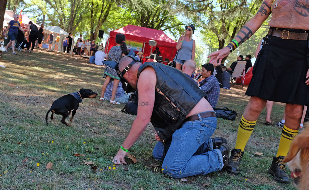 Dog people at Chillout festival