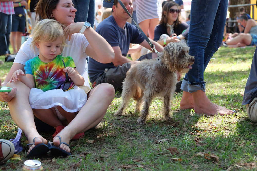 chillout festival dog show