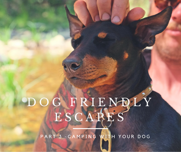 Dog friendly camping Victoria Australia