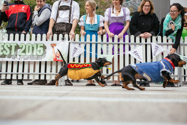 Oktober fest racing wieners