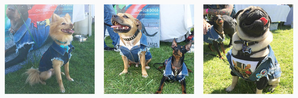 Dogapalooza Melbourne 2015