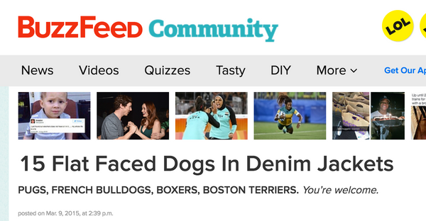 Dog Denim Buzzfeed