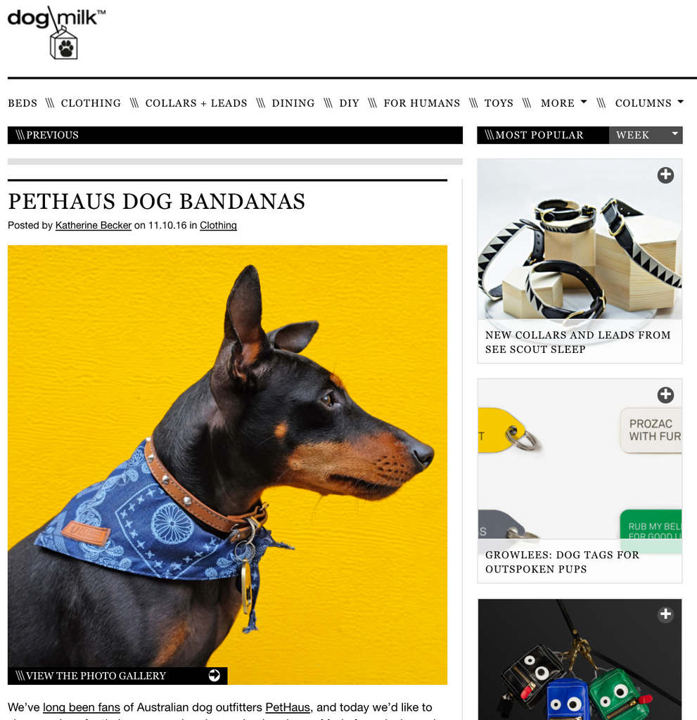 Designer Dog Bandana Dog Milk Pethaus