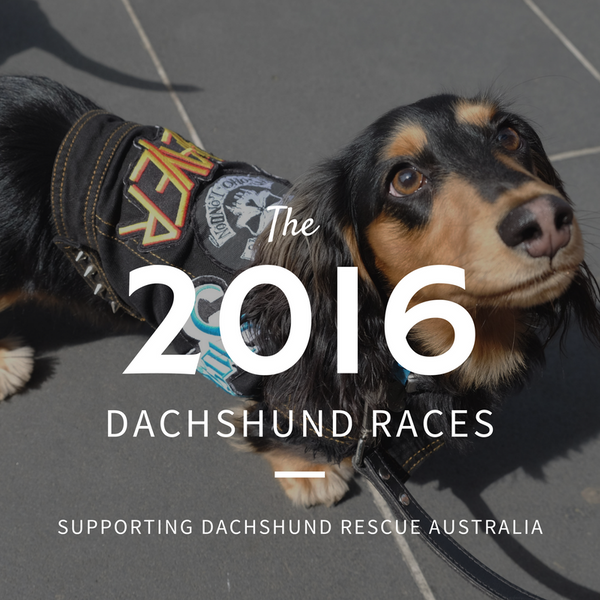 Hophaus Dachshund Races 2016 