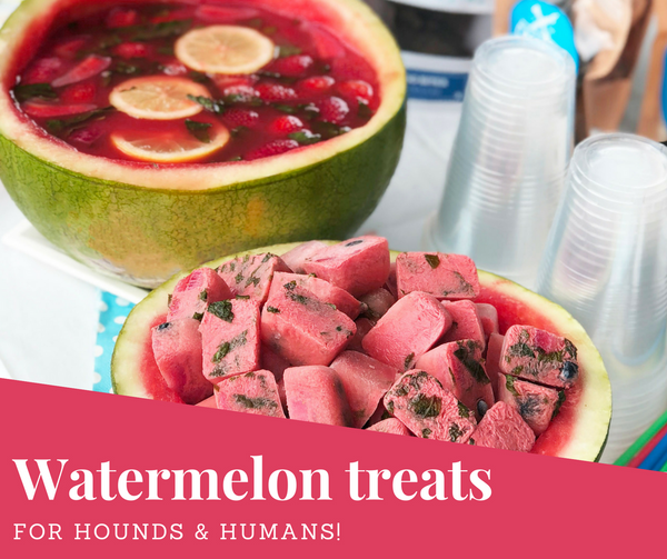 Watermelon dog treats, natural dog treats