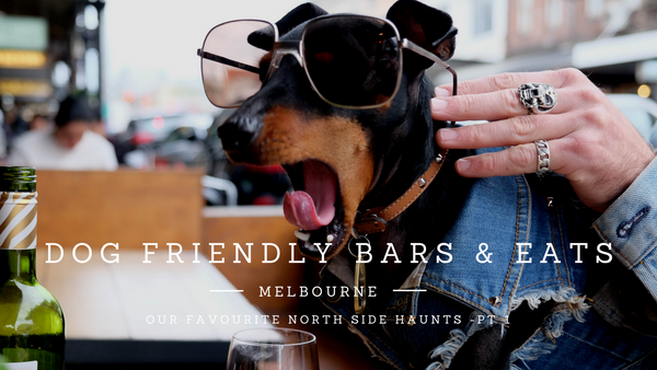 Melbourne's Dog Friendly Bars and Cafes