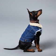 Dog denim 