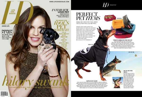 Denim Dog Jackets by Pethaus Life and Dogue Magazine