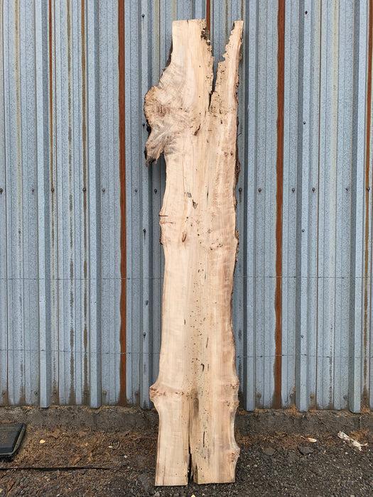 Double Diamond - LiveEdge Mappa Burl - Hamilton Lee Supply