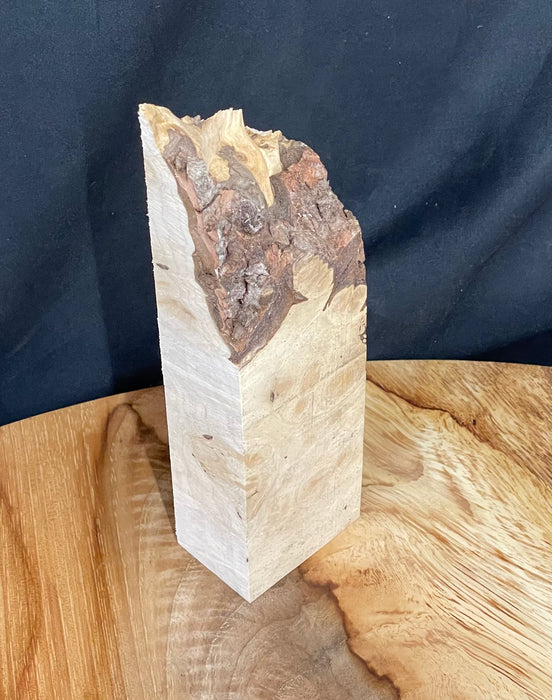 Hamilton Lee Supply - Silver Maple Burl Blanks - Hamilton Lee Supply