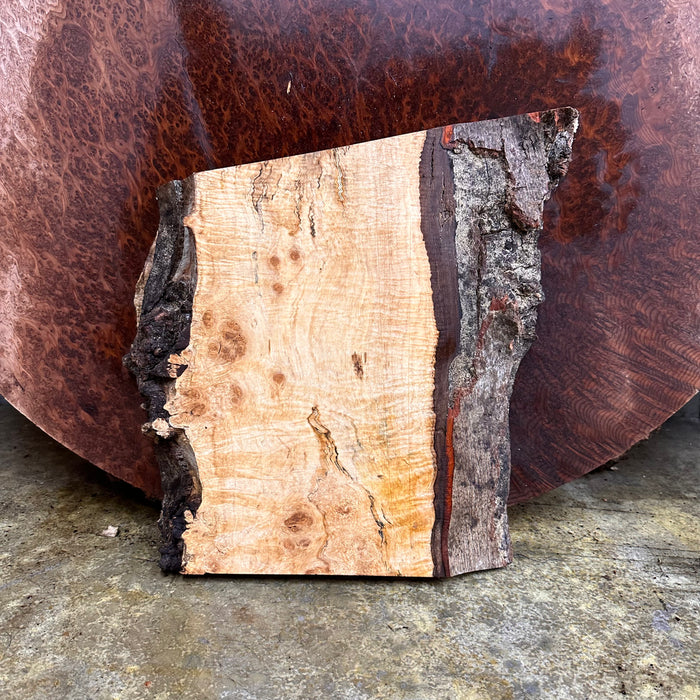 LiveEdge Silver Maple