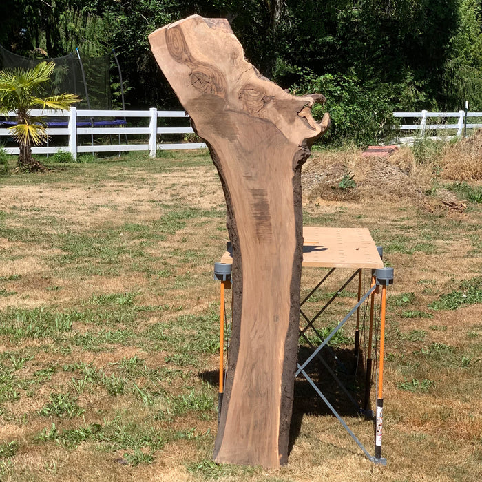 Double Diamond - LiveEdge Black Walnut/English Walnut Grafted - Hamilton Lee Supply
