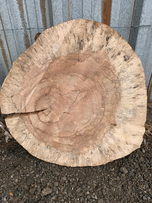 Double Diamond - LiveEdge Silver Maple Slab - Hamilton Lee Supply