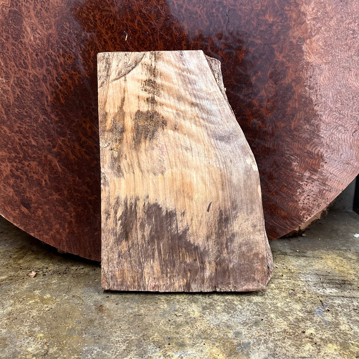 LiveEdge Mappa Burl