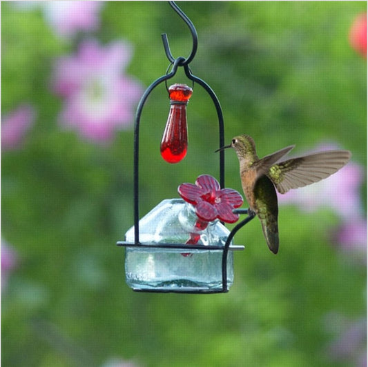 Easy Hummingbird Nectar Recipe and Other Tips!