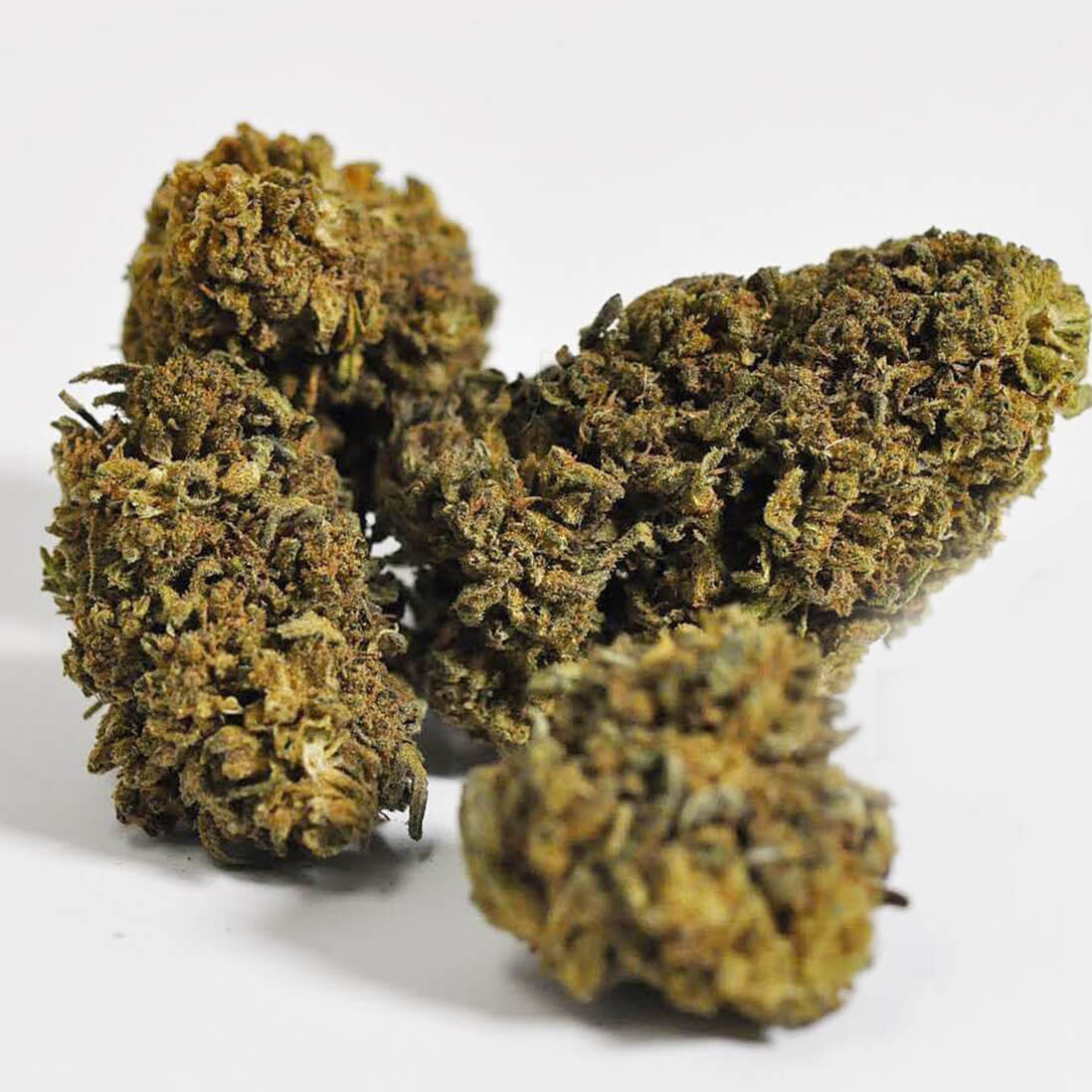 CBD PINEAPPLE EXPRESS - SATIVA