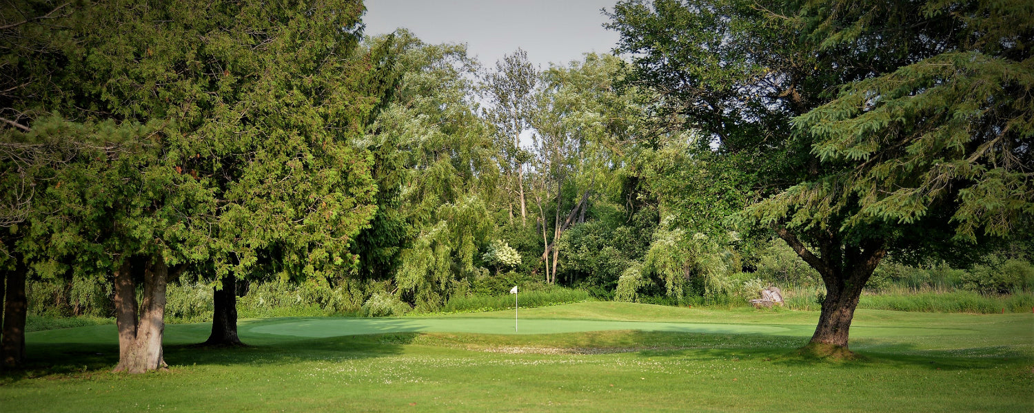 How to Set Goals for Next Golf Season