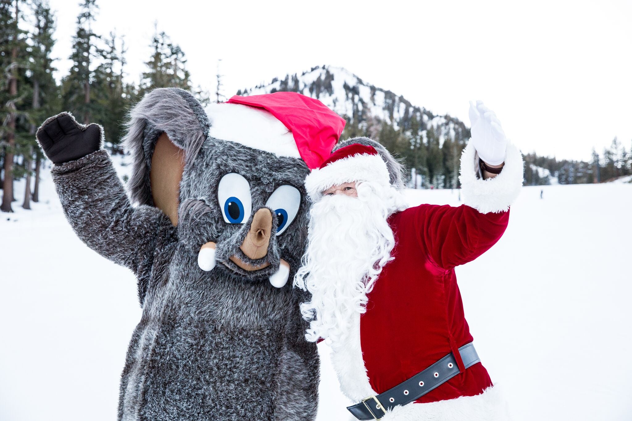 Montagne de mammouth laineux