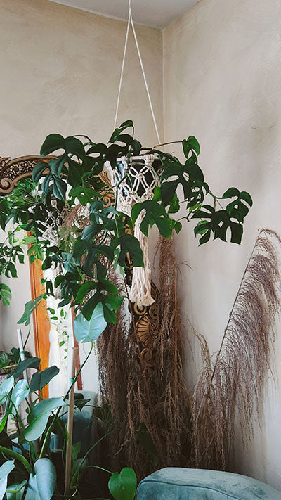 Macrame Small Plant Basket Hanger