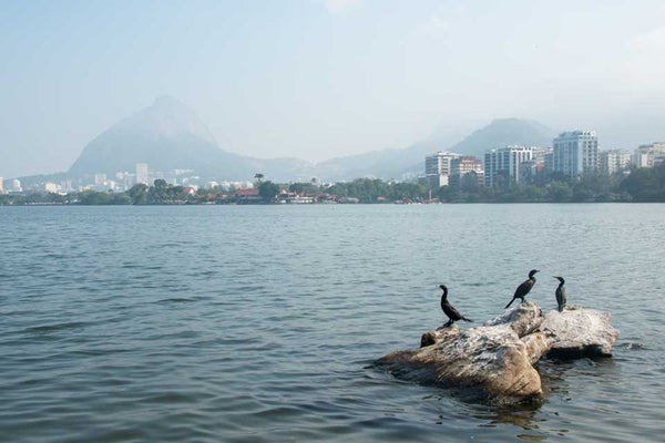 The Rodrigo de Freitas Lagoon, Rio