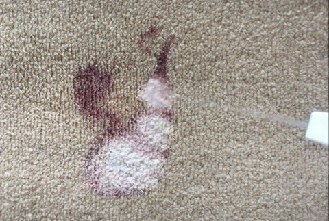 Spraying It’s Gone Stain Remover On Red Wine Carpet Stain